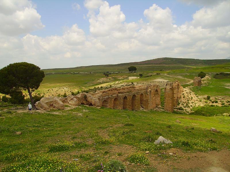Carthage - Ain jouggar CM03.JPG